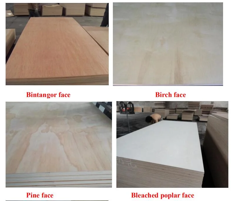 High Quality Okoume/Bintangor/Pencil Cedar/Poplar/Birch/Pine Faced Plywood Used for Furniture