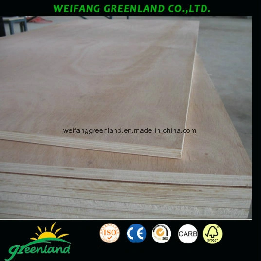 Good Quality Poplar Core Commercial Plywood for High Grade Furniture Produce