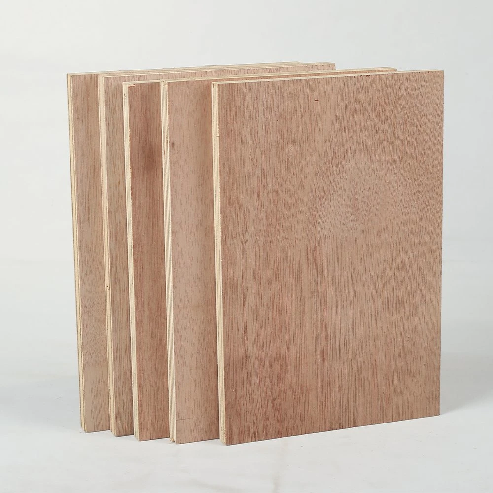 High-Quality 18mm Birch Plywood Sheet 4X8 Okoume Faced Commercial for Furniture