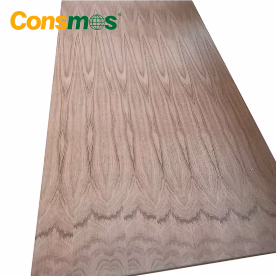 폴리에스테 장식적인 문 피부 경재 멜라민 종이 Coted 공상 베니어 영화 직면된 합판